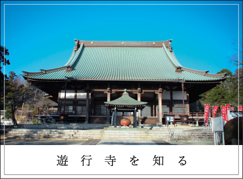 藤澤 遊⾏寺について知る